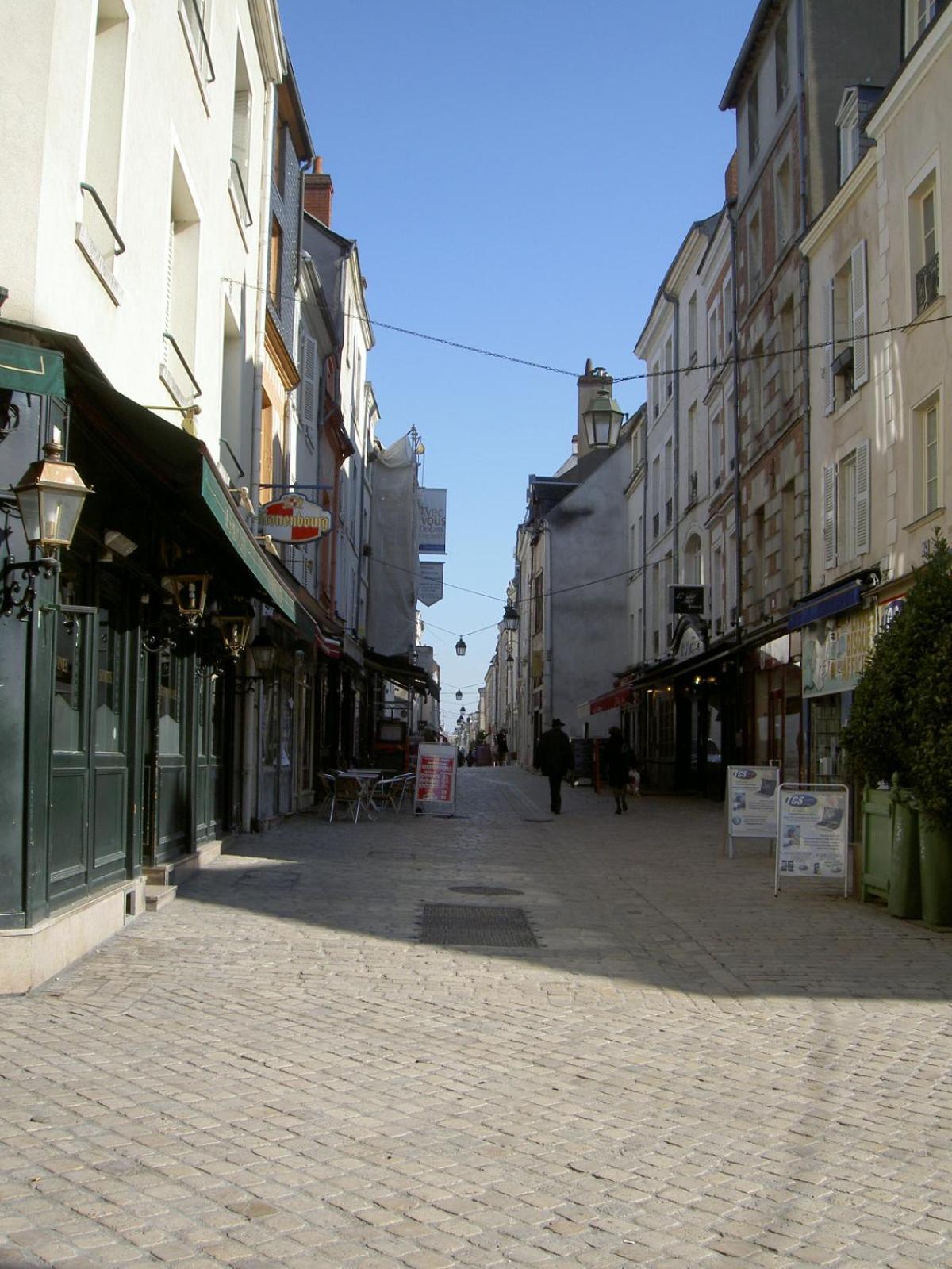 Le Pacific - Appartement Spacieux Centre Ville Orléans Dış mekan fotoğraf