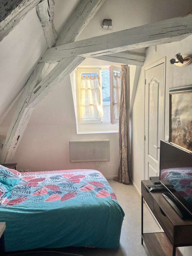 Le Pacific - Appartement Spacieux Centre Ville Orléans Dış mekan fotoğraf